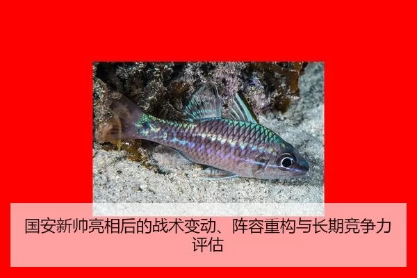guo-an-xin-shuai-liang-xiang-hou-de-zhan-shu-bian-dong-zhen-rong-zhong-gou-yu-chang-qi-jing-zheng-li-ping-gu-2-405.jpg